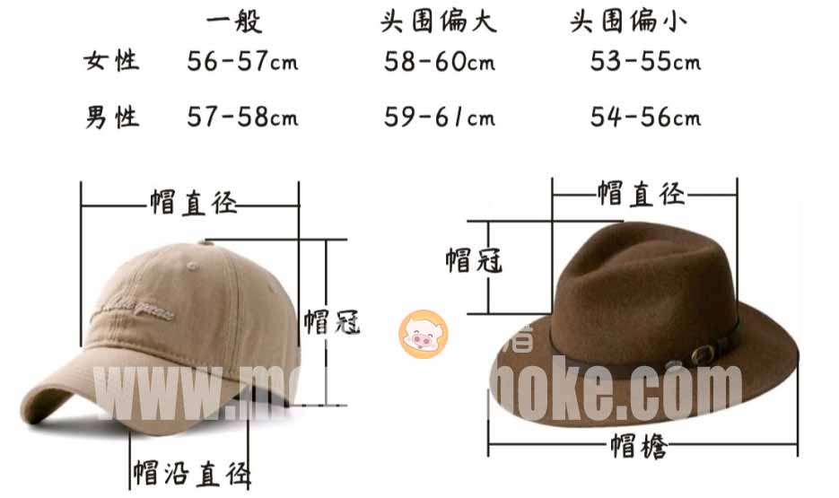 广东湛江：中华白海豚种群稳定 生态保护显成效