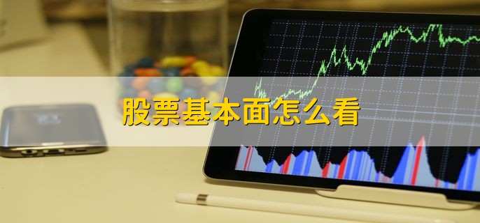 “五一”跨境游热潮涌动，合肥边检全力保障出游高峰